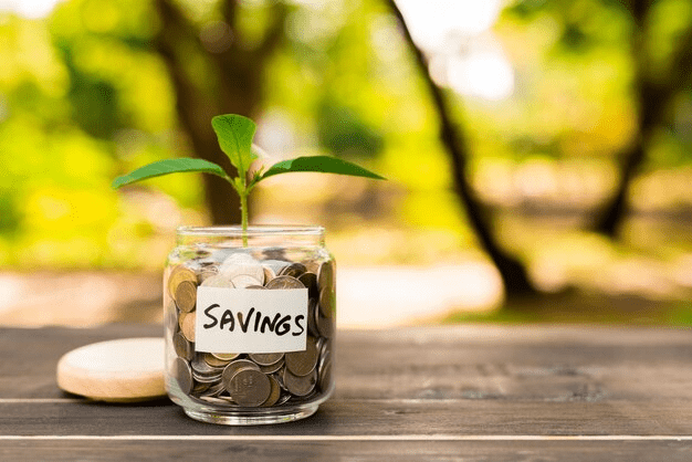 Money inside the plastic bottle with a plant growing